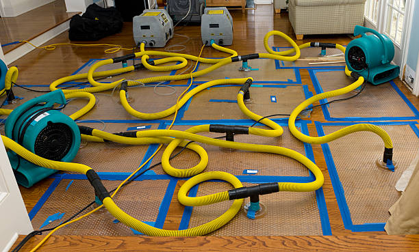 Professional Structural Drying And Dehumidification technician working in Granville, IL